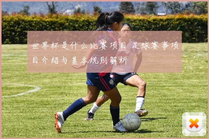 世界杯是什么比赛项目 足球赛事项目介绍与基本规则解析